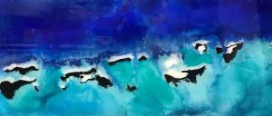 Bahamas from Space