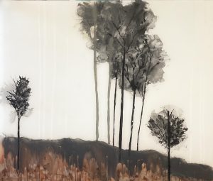 Desert Trees