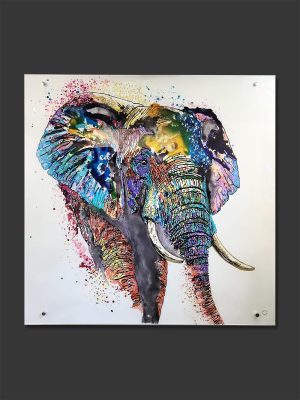 Colourful Elephant